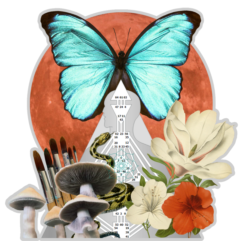 Align-Your-Design-graphic
